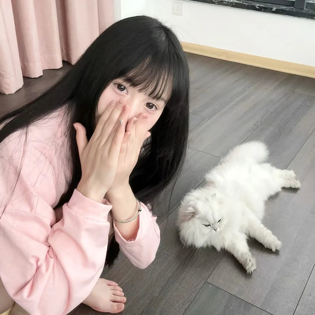 狗和狼的时间