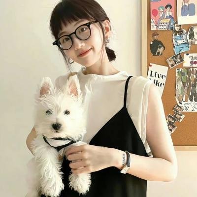 全能囧爸